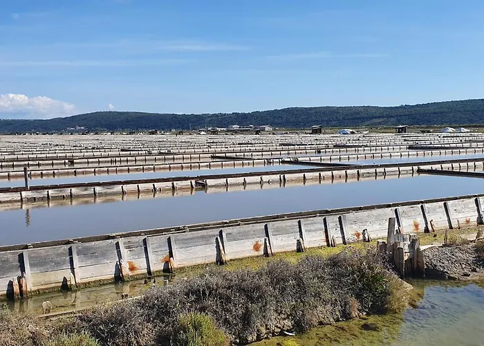 Irene Apartman Secovlje