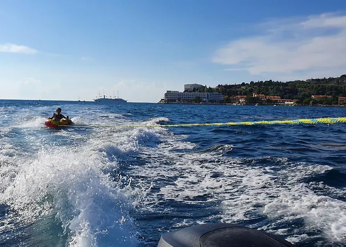 Apartman Irene Secovlje